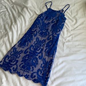 Hello Molly Royal Blue Lace Detail Dress